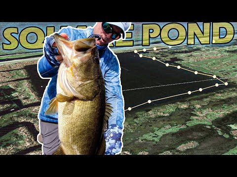 Headwaters Lake's Square Pond Secrets Revealed 🎣✨"