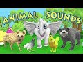 The Animal Sounds Song - Children's Song ...