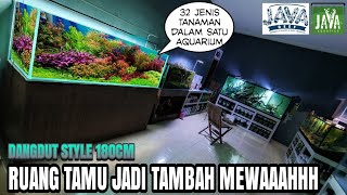#295 Setting Aquascape di Aquarium Sultan "Gileee gini doang udah 30jt"