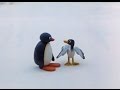 Pingu 15 Minutes 3 Episodes Pingu 16