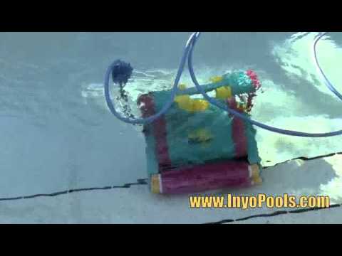 Inyopools.com - Dolphin Robotic Pool Cleaner in action