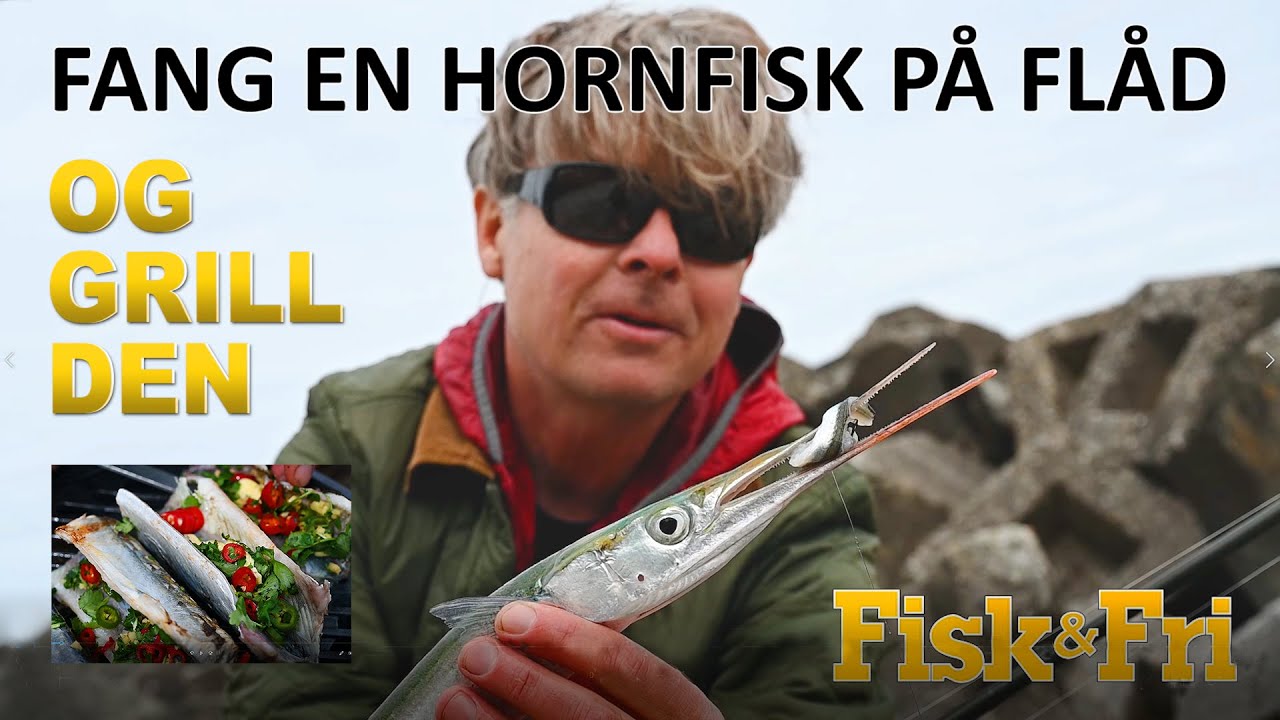 NY VIDEO: FANG EN HORNFISK PÅ FLÅD – OG GRILL DEN