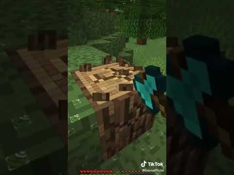 Cursed Minecraft Texture Packs - SkyCamel's Review