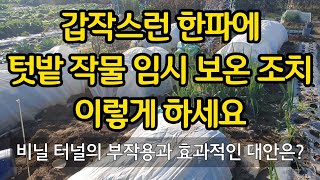갑작스런 한파대비 작물 임시 보온조치 이렇게 하세요. (비닐 터널의 부작용과 효과적인 대안은?)