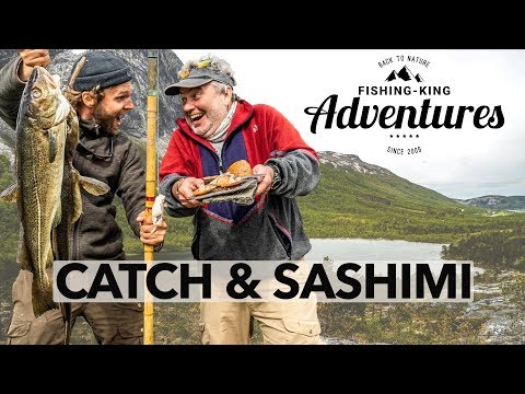 Catch & Sashimi 🍽 Dorsch & Heilbutt vom Ufer + Zubereiten 🍴| Catch & Cook