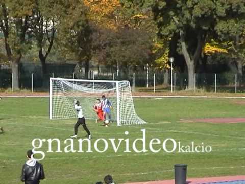 GNANOTTI  stop  a  PESARO