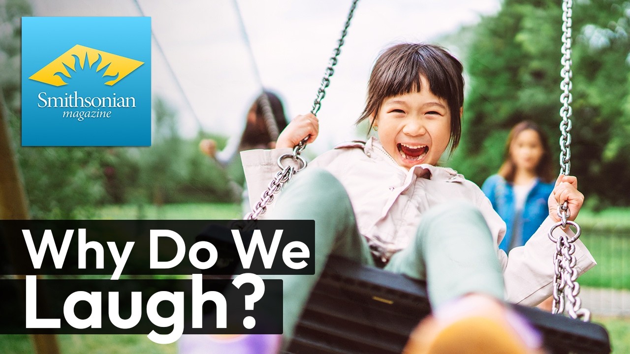 Why Do We Laugh? The Science Behind Humor and Human Connection