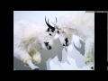 The Mountain Goats - Deianara Crush (TKurata Remix)