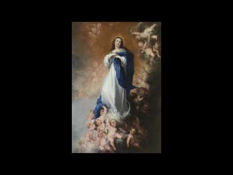 Renaissance Polyphony