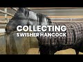Ground Collection Semen With Our Senior Stallion Swisher Hancock