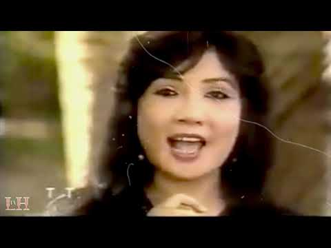 Nghệ sĩ Minh Cảnh ft Lệ Thủy