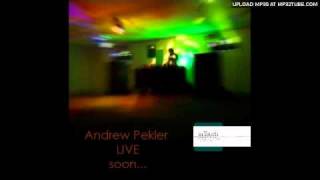 Andrew Pekler - Rockslide