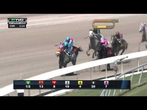 RACE REPLAY: 2016 Gulfstream Park Sprint Featuring X Y Jet