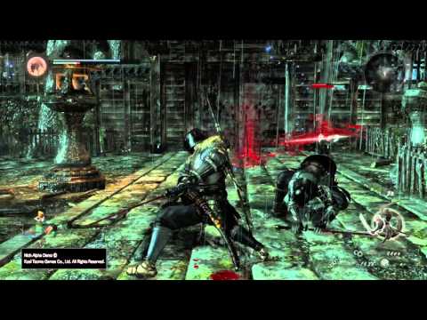 Nioh Alpha Demo counter