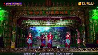 Download lagu 013. WADON JAHAT Dwi Warna live ds bunder jimpret bpk H. Udin mp3