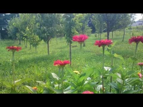 Romania, beautiful Bucovina!