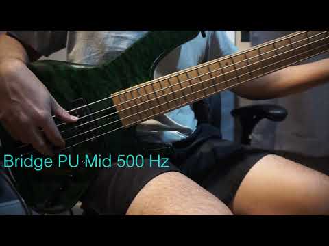Thai Custom Bass    (Aguilar Pick up, Bartolini XTMB Preamp)