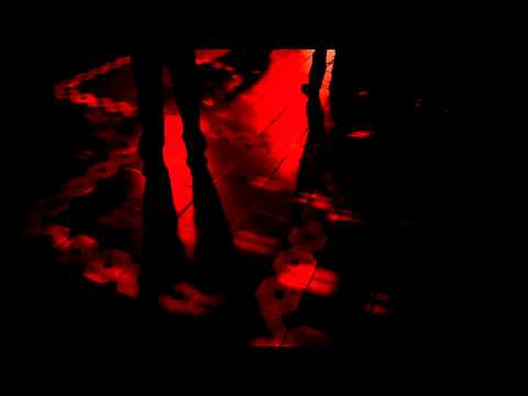 Caminaresgratis 5/ Rootz hi fi