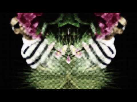 Romey Chop$ ~ "Echo$" (Dir. By: Ishbu) (Edited By; Romey Chop$