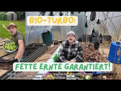 Schafwolle: Bio-Turbo für Rekord-Ernten im Garten!