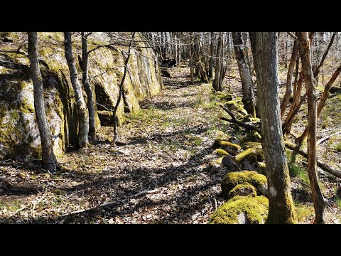 TORPRUINERNA väster om HÄRSTORPSJÖN - 210428 - Gunnel & Gunnar Lindbergs hus - RONNEBY - Blekinge