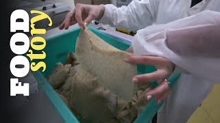 Thumbnail del capítulo