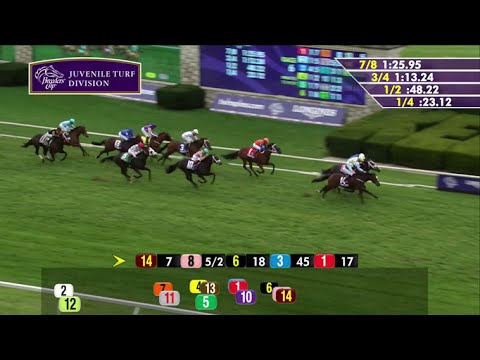 RACE REPLAY: 2015 Breeders' Cup Juvenile Turf
