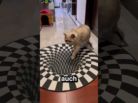 So uberbindete diese Katze seine angste 😀 😃