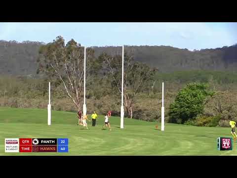 2018 BDAFL Men's Round 2 - Terrigal Avoca Panthers Vs. Cardiff Hawks Highlights
