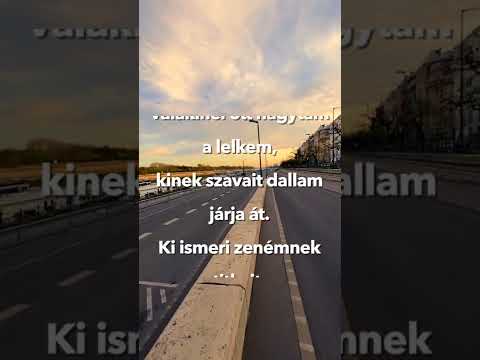 Papp Ádám: A lelkem