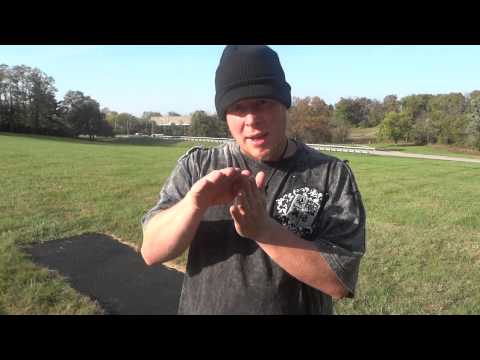 prodiscus disc review