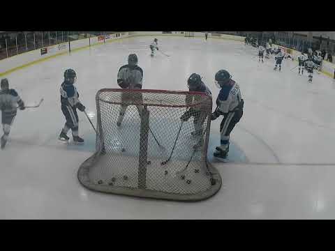 DEF1 vs Hawks - Nov 15, 2024