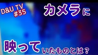 【心霊】ツイキャス配信で、、、♯35