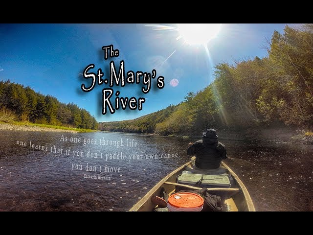 Trail Video Preview