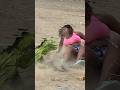 Corre Viralvideo