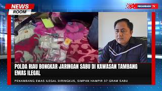 Pengedar Sabu Berkedok Penambang Emas Ilegal