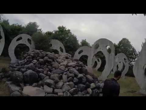 Savage Crows Screaming Heads