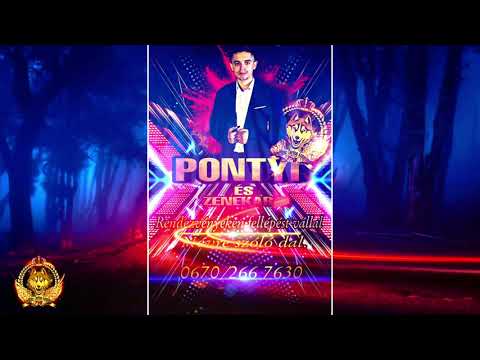 PONTYI 2021 ZOLIKA - SZERETEM A TESTVÉREKET / Erős Disco