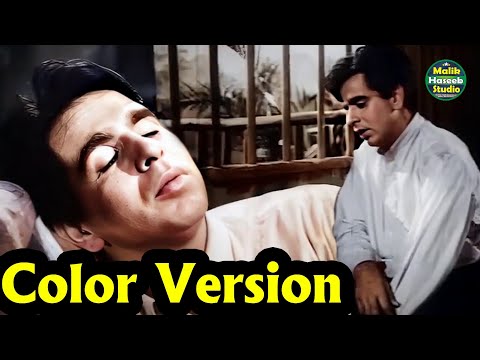 Hum Dard K Maron ka | Color Version | Dilip Kumar, Nimmi | Daag (1952) | Talat Mahmood