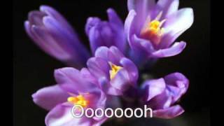 Duffy - Distant Dreamer Lyrics &amp; Photos On Screen