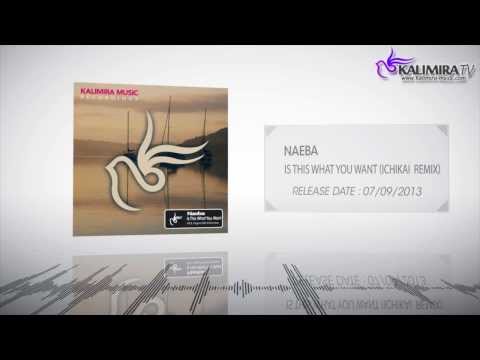 Naeba - Is This What You Want (Ichikai Remix) [Preview]