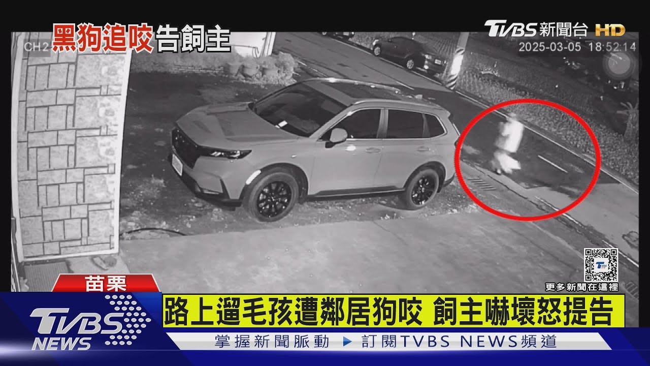 路上遛毛孩遭鄰居狗咬 飼主嚇壞怒提告