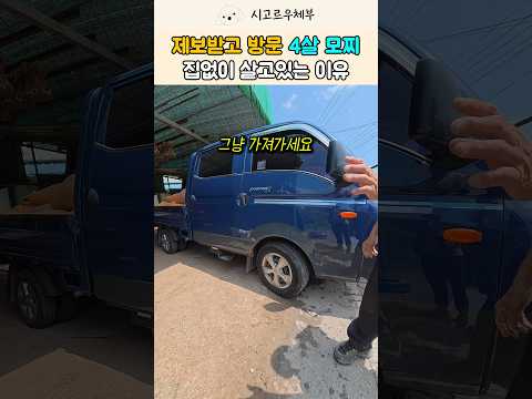 집 없이 소축사 옆에 살던 시골개 모찌, 유치원 선생님의 따뜻한 제보 #강아지 # #반려견 #shorts