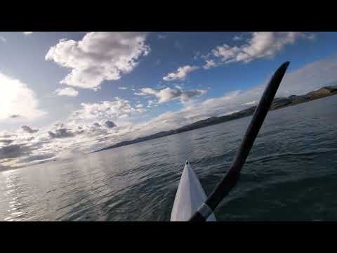 Surf Ski Paddler cruising with a family of dolphins