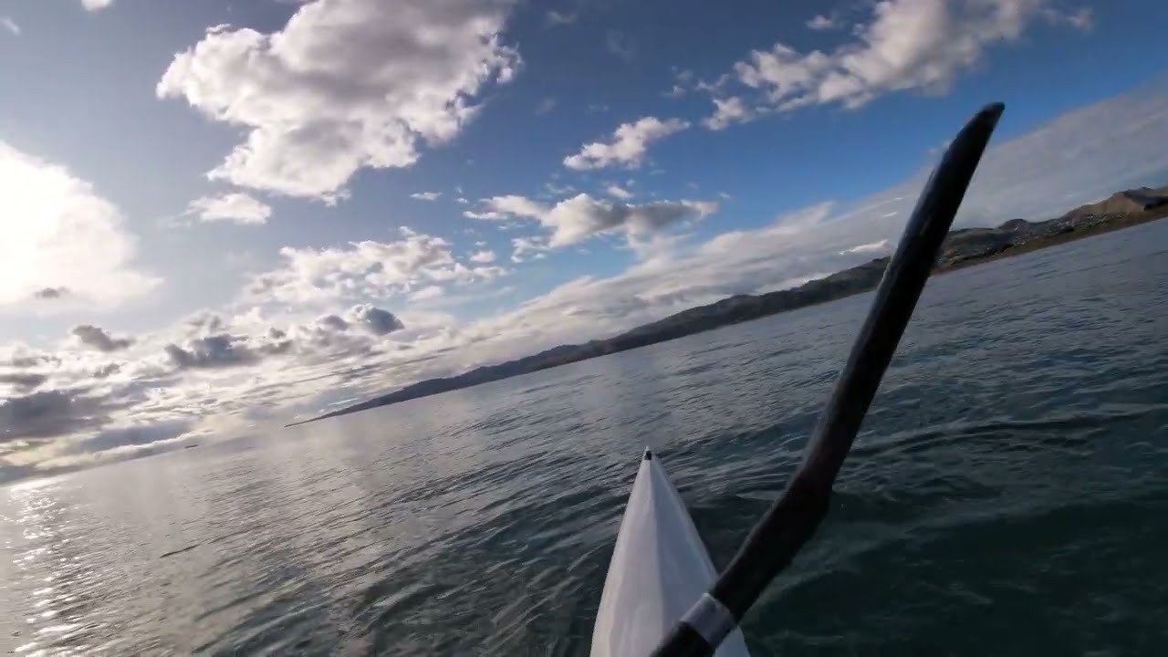 Surf Ski Paddler cruising with a family of dolphins