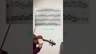 Download lagu 【へ長調の音階】Carl Flesch :Scale F major #violin #music mp3 Download lagu 【へ長調の音階】Carl Flesch :Scale F major #violin #music mp3