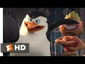 Madagascar Escape 2 Africa Penguin Plane Crash Fandango Family