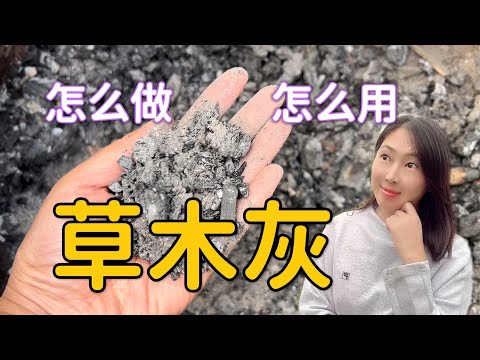 大葉欖仁果實食用