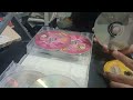 The Fairy Odd Parents Complete Series Dvd