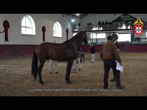 231021 8 Profeta Plus - Aprovação de Reprodutores